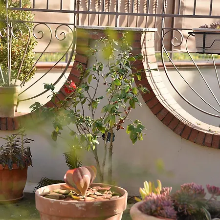 Le Cycas Castellammare di Stabia