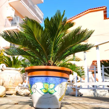 Le Cycas Panzió Castellammare di Stabia