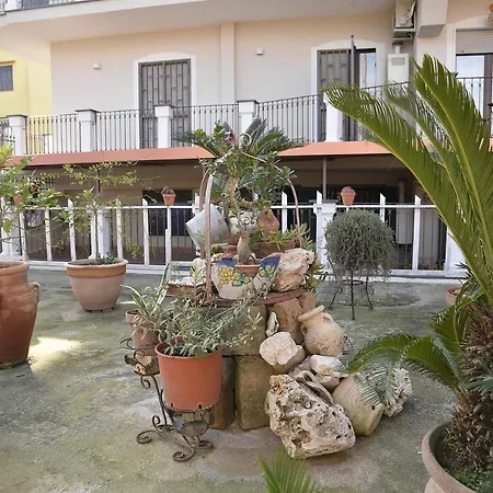 Le Cycas 4*