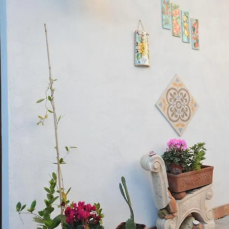 Bed & Breakfast Le Cycas Castellammare di Stabia