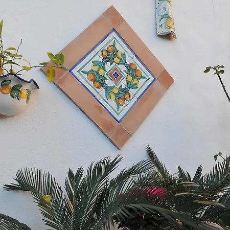 Le Cycas Bed & Breakfast Castellammare di Stabia