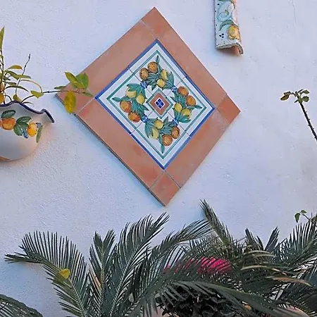 Le Cycas Bed & Breakfast Castellammare di Stabia