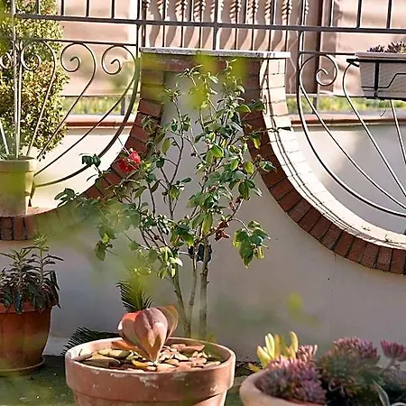 Bed & Breakfast Le Cycas 4*