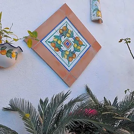 Le Cycas Bed & Breakfast Castellammare di Stabia