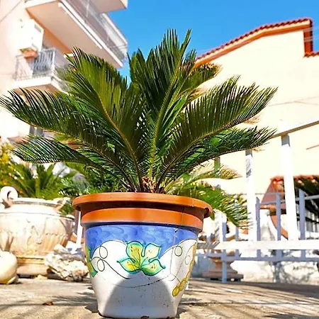 Le Cycas 4* Castellammare di Stabia