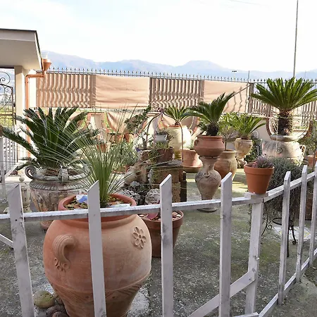 Le Cycas Bed & Breakfast Castellammare di Stabia
